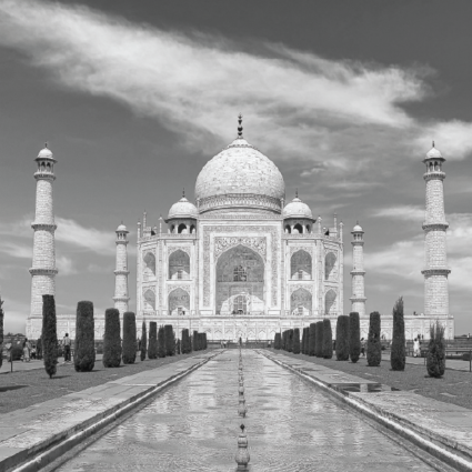 SevenTigers_India Contact us