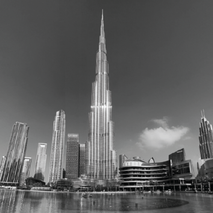 SevenTigers_UAE, GCC and Europe Contact us